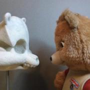 Teddy Ruxpin faces off with the sculpture ursula teodours ruxpinus by Stephanie Metz