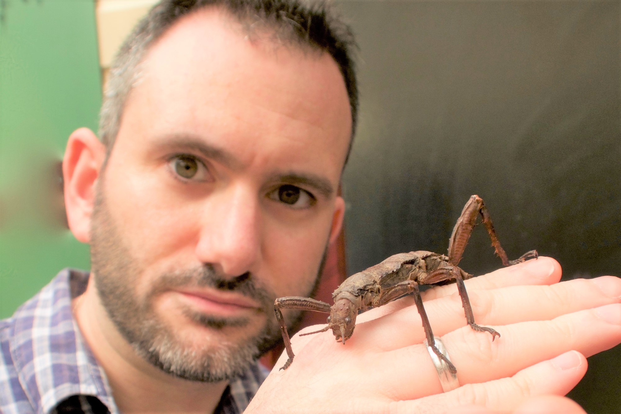 Ask Howard: Coping with creepy-crawlies