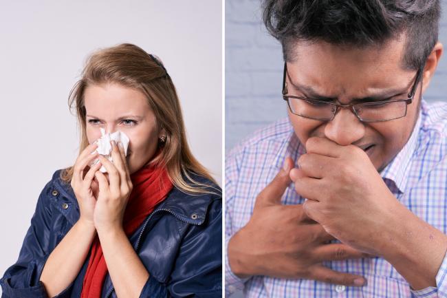 How to tell the difference between Covid-19 and hay fever. (Canva)