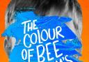The Colour of Bee Larkham's Murder by Sarah J Harris