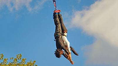 Enfield Independent: Lover’s Leap Bungee Jump. Credit: Red Letter Days