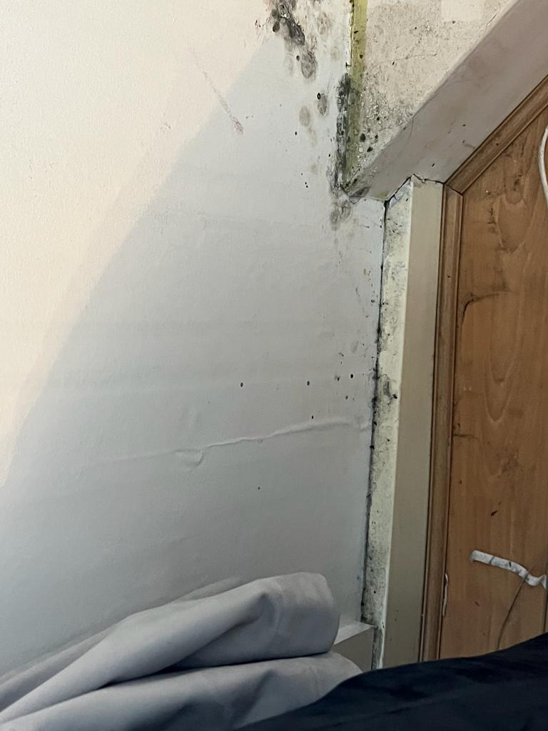 Flats at Walbrook House have been affected by damp and mould (image submitted by Dorette Wright)