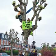 Protestors guarding the plane tree in Oakfield Road (submitted by Giovanna Iozzi)