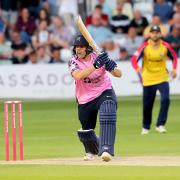 Joe Cracknell in white-ball action for Middlesex. Image: TGS Photo