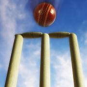 Bolt's six-wicket haul helps Enfield to Winchmore win