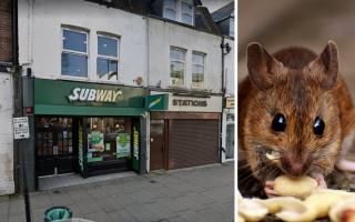 Subway directors fined after live mouse, droppings and dead flies found in Enfield outlet